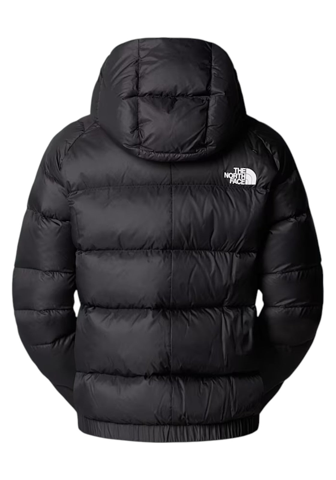 GIUBBINI E GIACCHE Nero The North Face