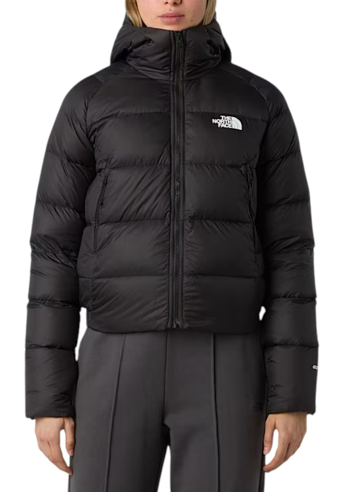 GIUBBINI E GIACCHE Nero The North Face