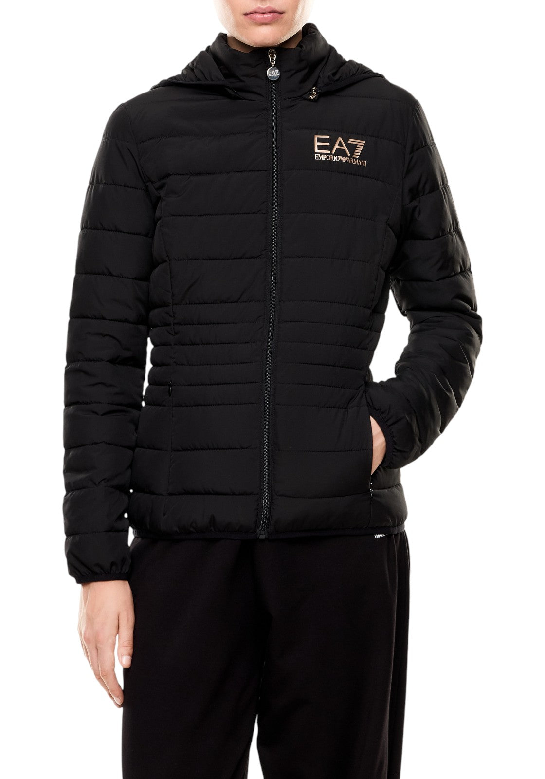 GIUBBINI E GIACCHE Nero/oro Ea7