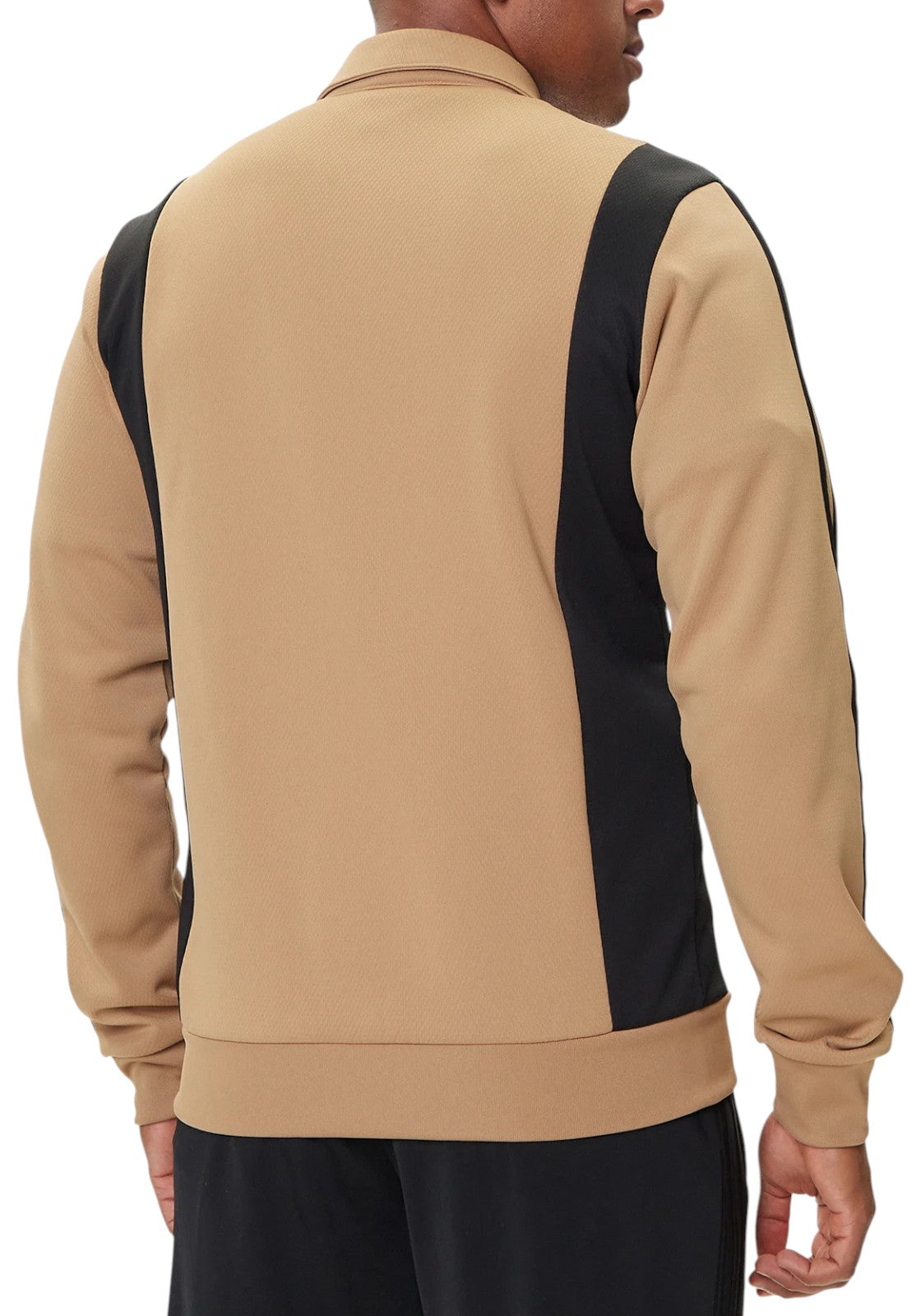 FELPE Cammello Adidas Originals