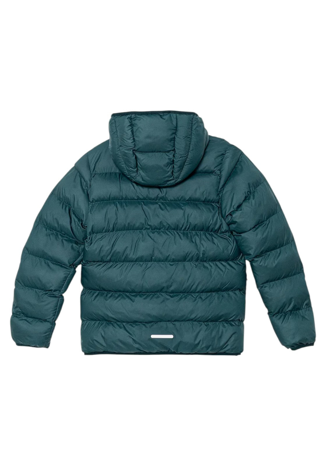 GIUBBINI E GIACCHE Verde Adidas