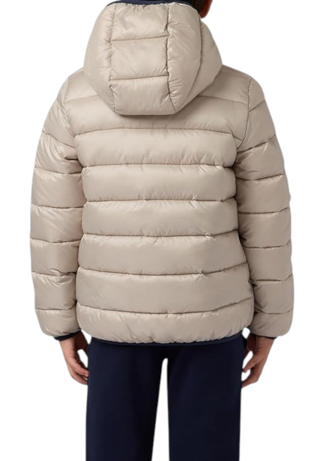 GIUBBINI E GIACCHE Beige/blu Champion