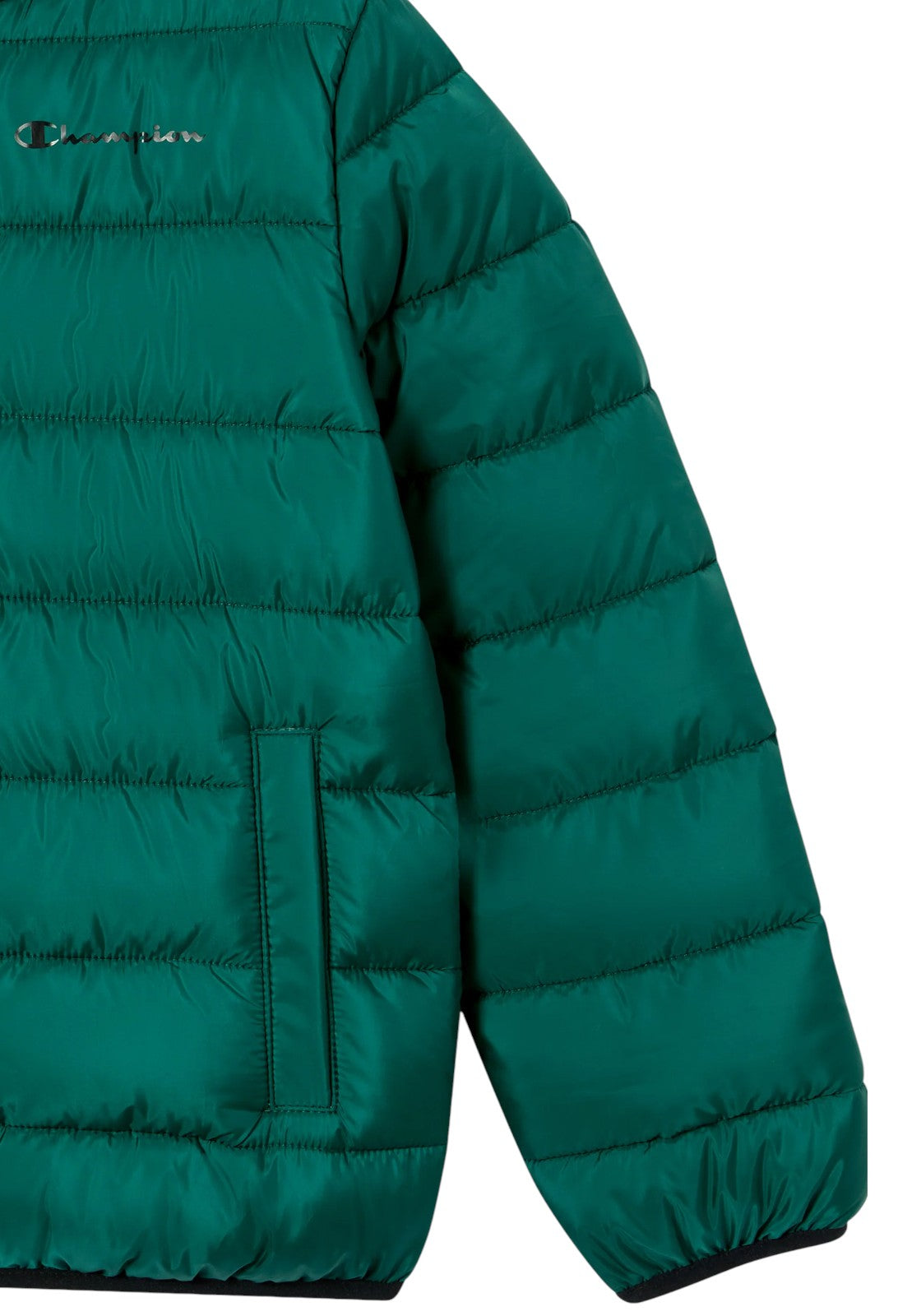 GIUBBINI E GIACCHE Verde Champion