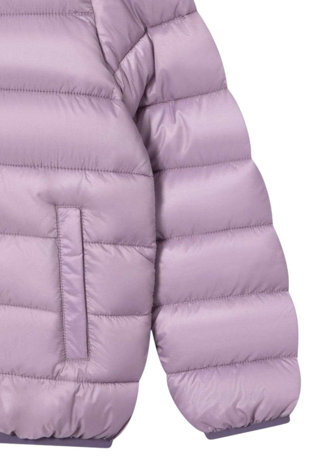 GIUBBINI E GIACCHE Lilla Champion