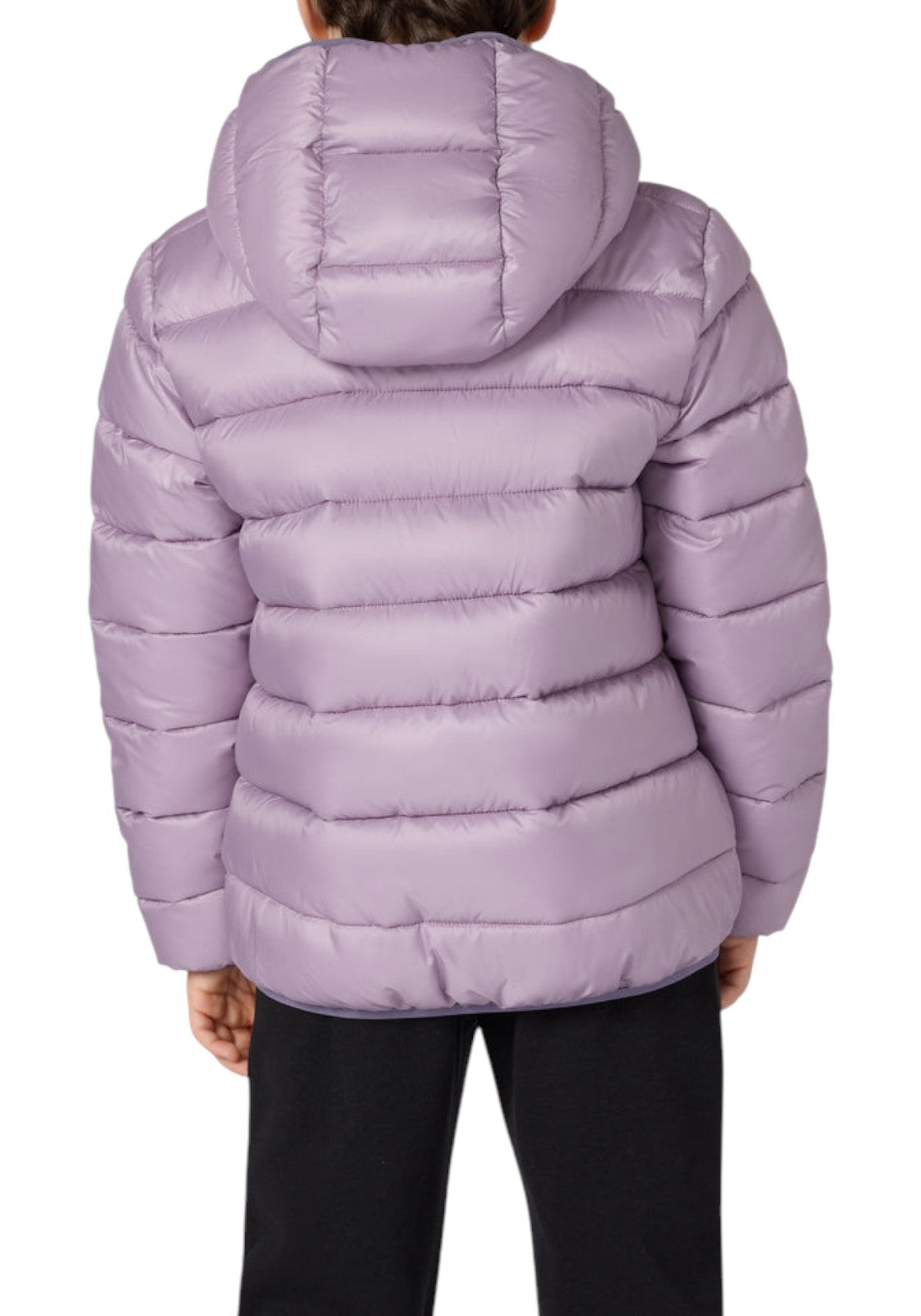 GIUBBINI E GIACCHE Lilla Champion