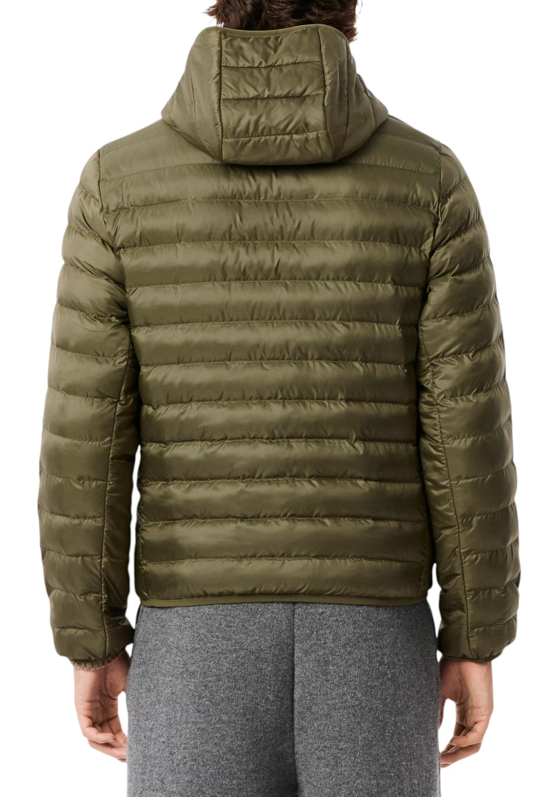 GIUBBINI E GIACCHE Verde Militare Lacoste