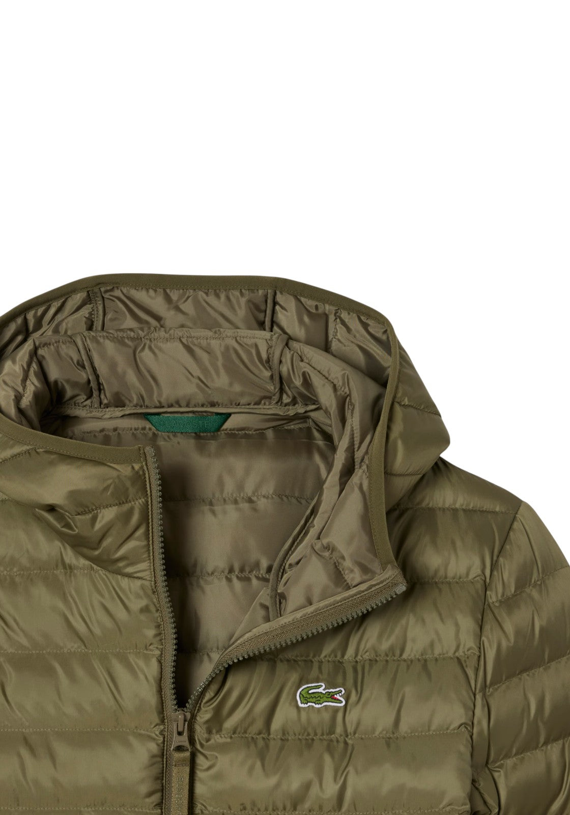 GIUBBINI E GIACCHE Verde Militare Lacoste