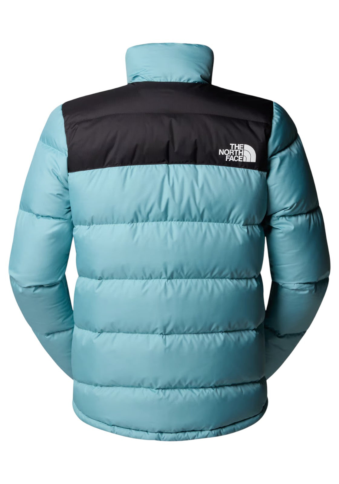 GIUBBINI E GIACCHE Tiffany The North Face