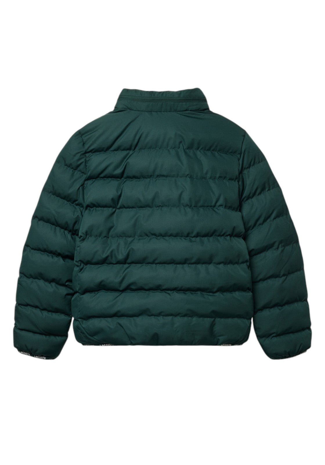 GIUBBINI E GIACCHE Verde Bosco Lacoste