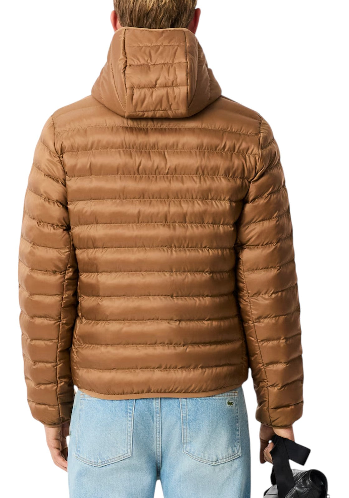 GIUBBINI E GIACCHE Cammello Lacoste