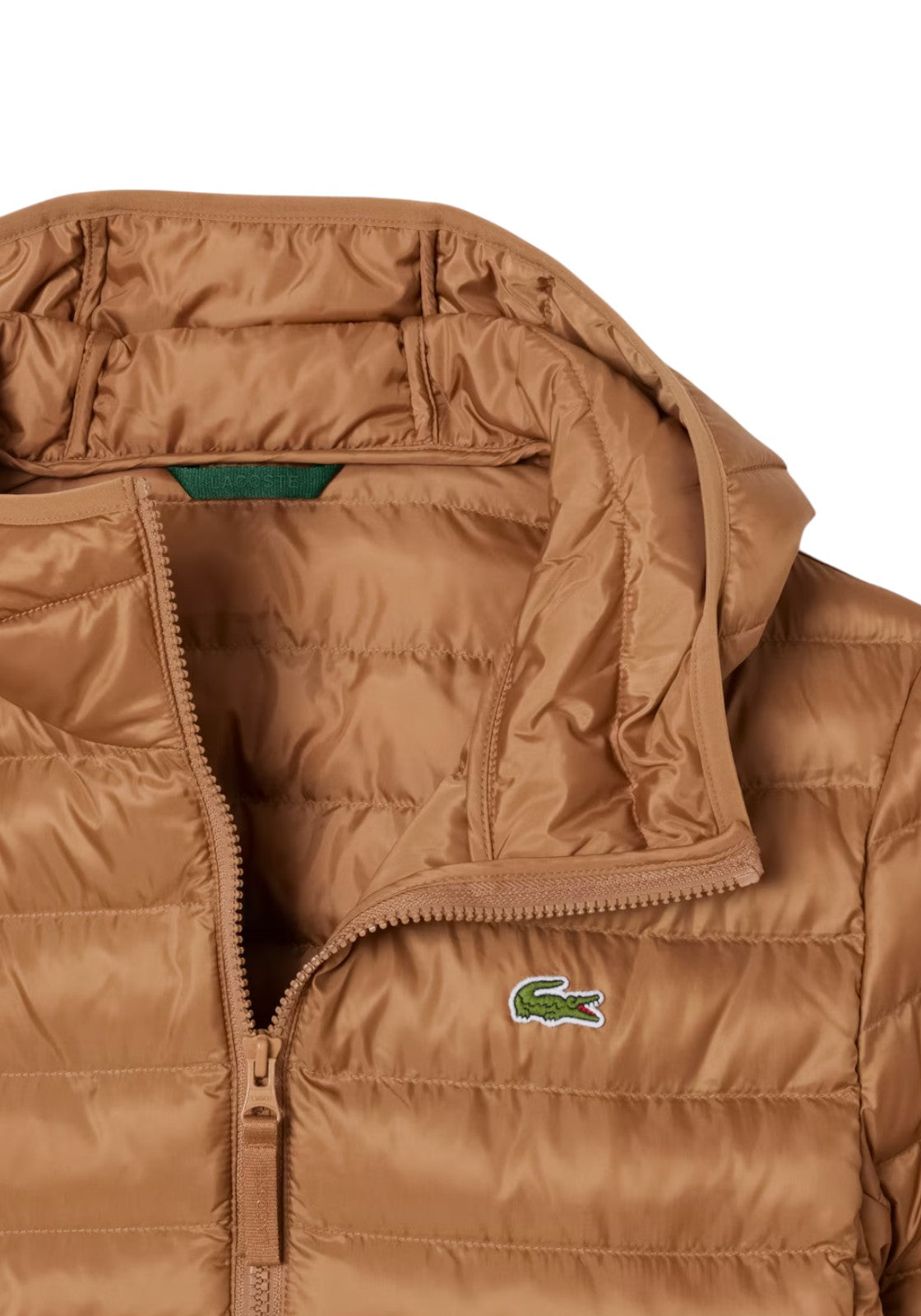 GIUBBINI E GIACCHE Cammello Lacoste