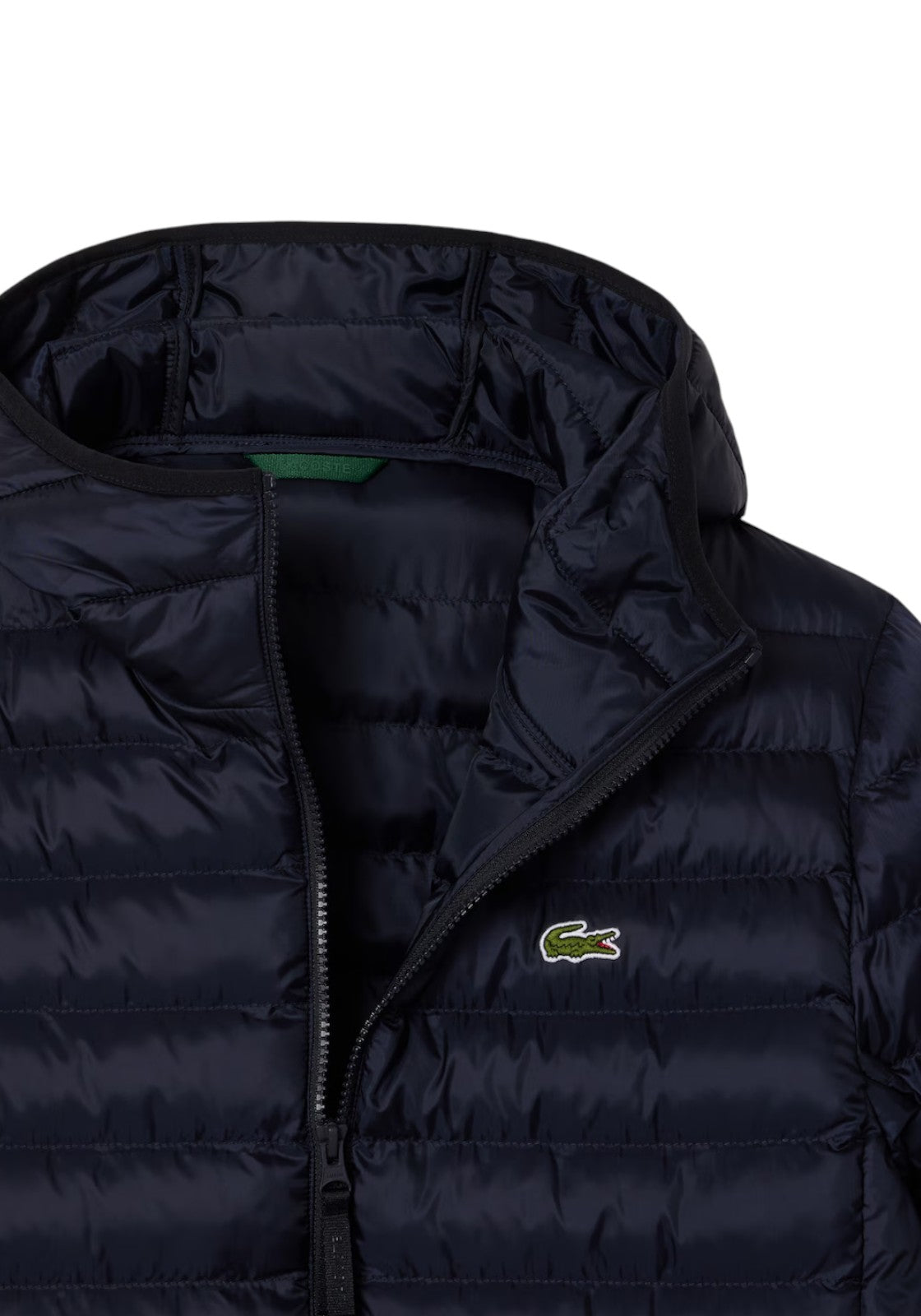 GIUBBINI E GIACCHE Navy Lacoste