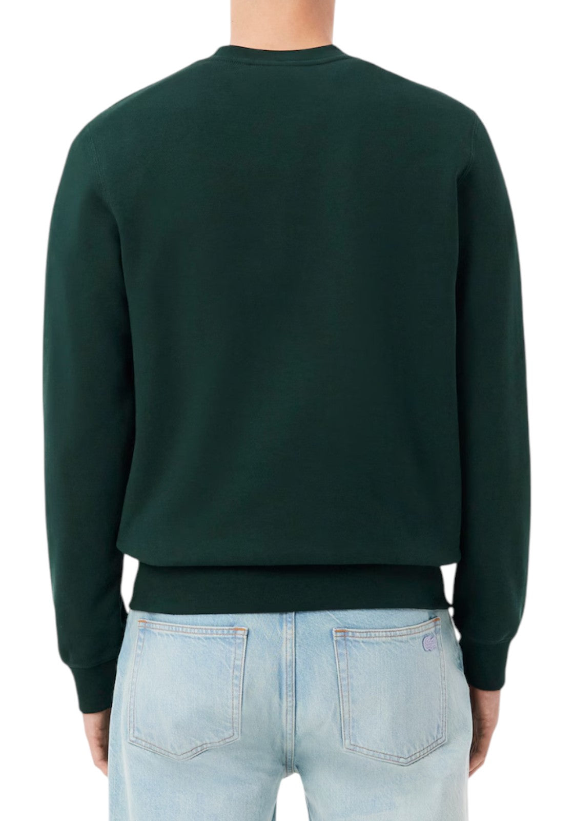 FELPE Verde Bottiglia Lacoste