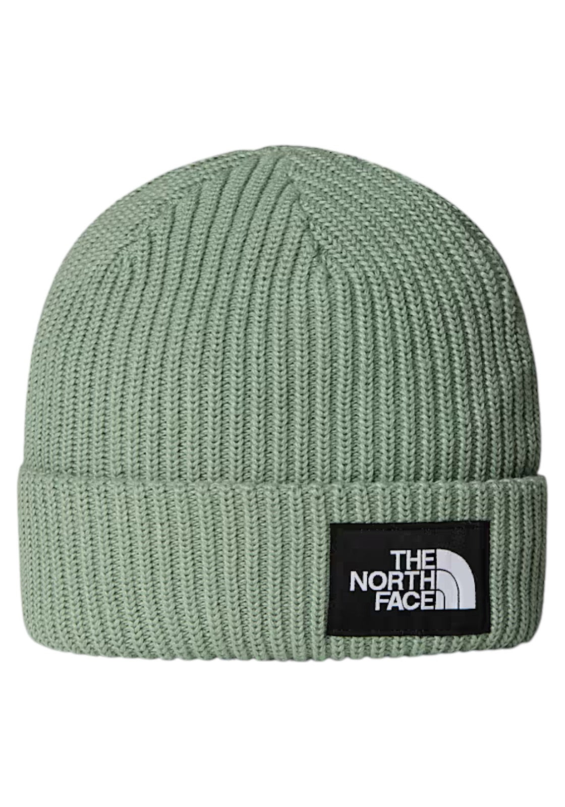 ACCESSORI LIFESTYLE Verde Salvia The North Face