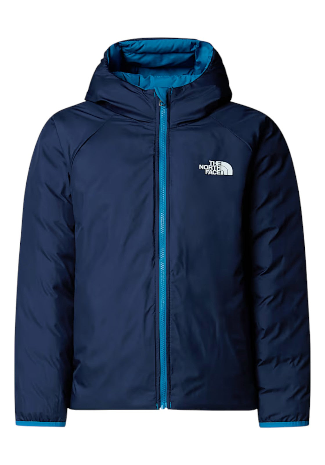 GIUBBINI E GIACCHE Azzurro/blu The North Face
