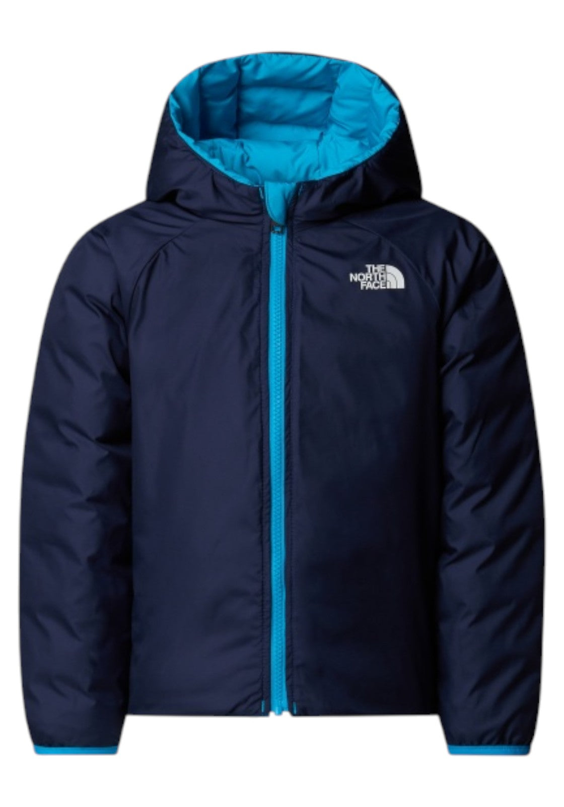 GIUBBINI E GIACCHE Azzurro/blu The North Face