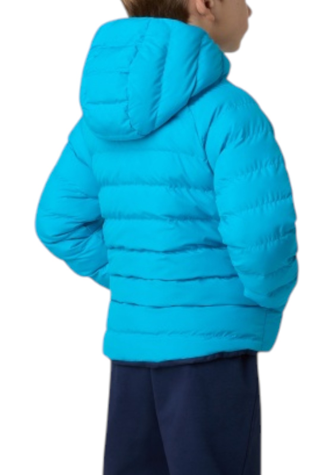 GIUBBINI E GIACCHE Azzurro/blu The North Face
