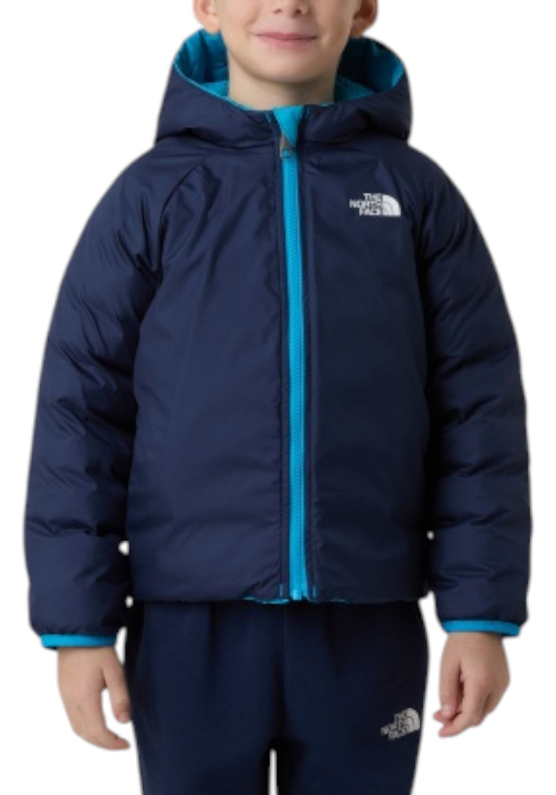 GIUBBINI E GIACCHE Azzurro/blu The North Face