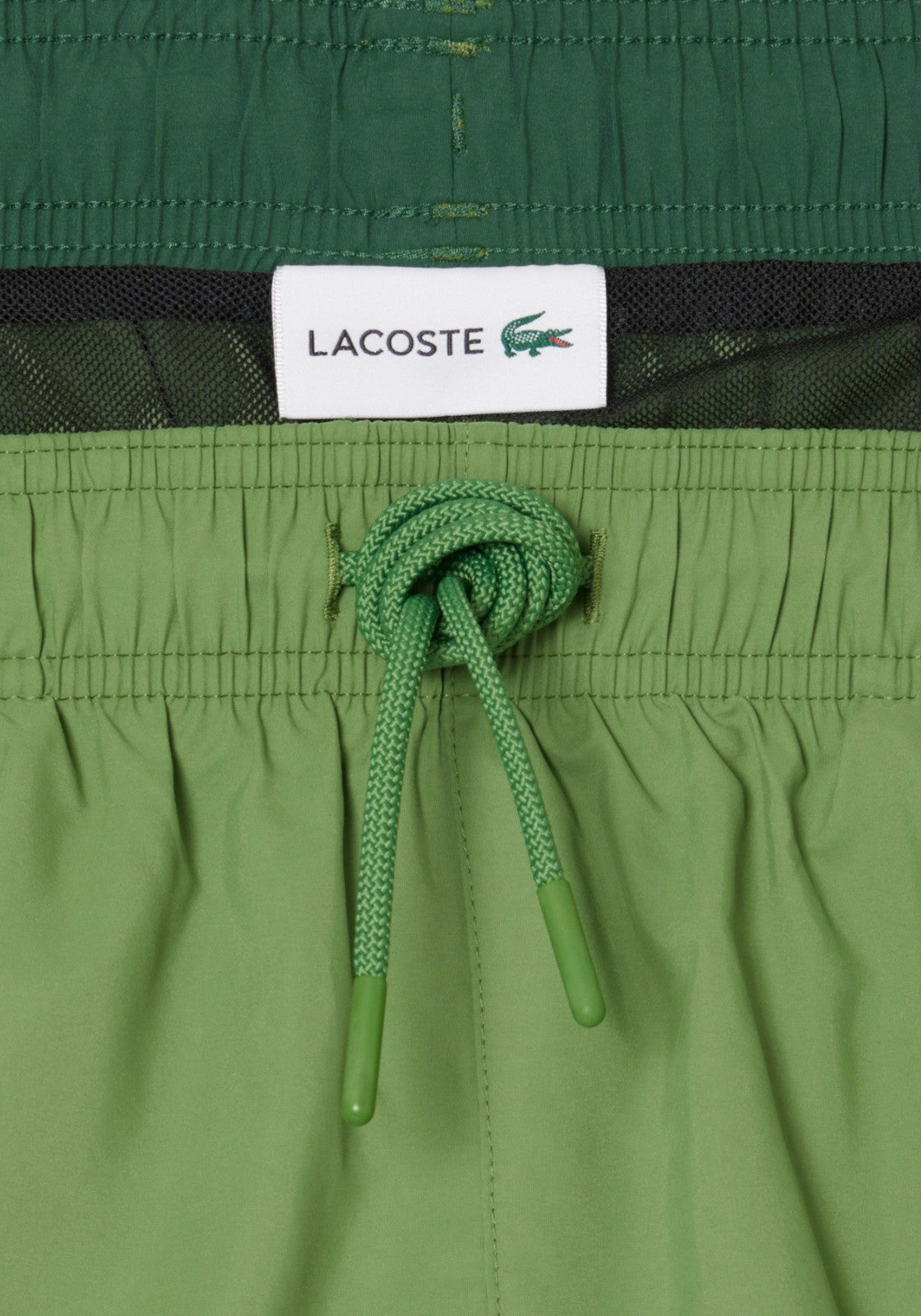 COSTUMI Verde Bosco Lacoste