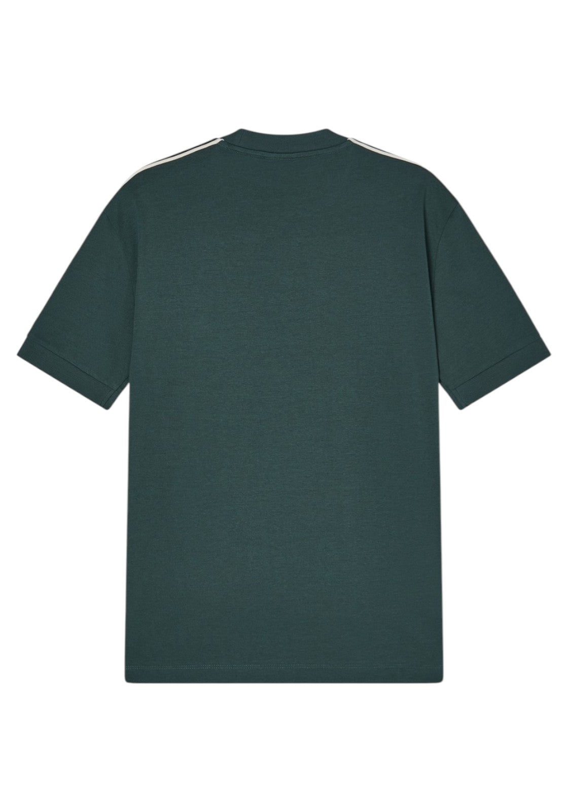 T-SHIRT E CANOTTE Verde/beige Ea7