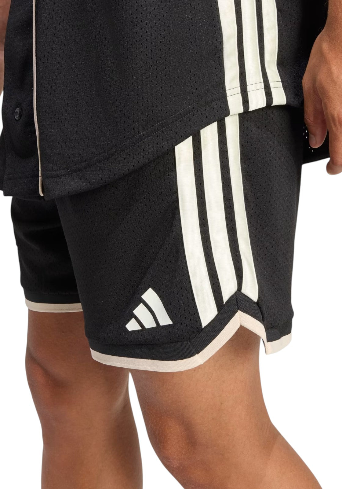 PANTALONCINI Nero/panna Adidas