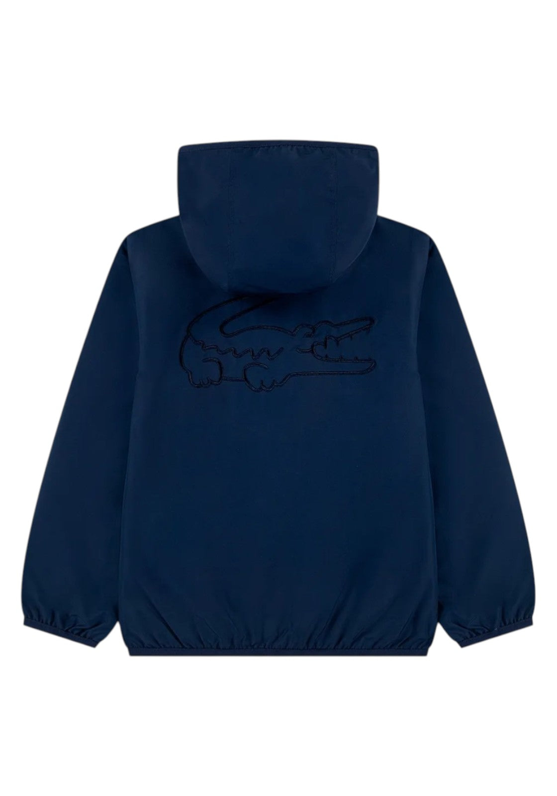 GIUBBINI E GIACCHE Blu Lacoste