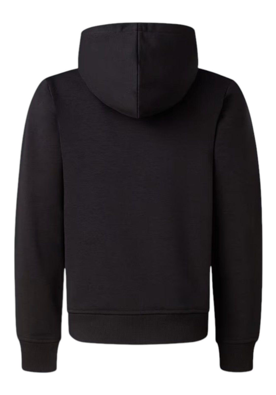 FELPE Nero/celeste The North Face