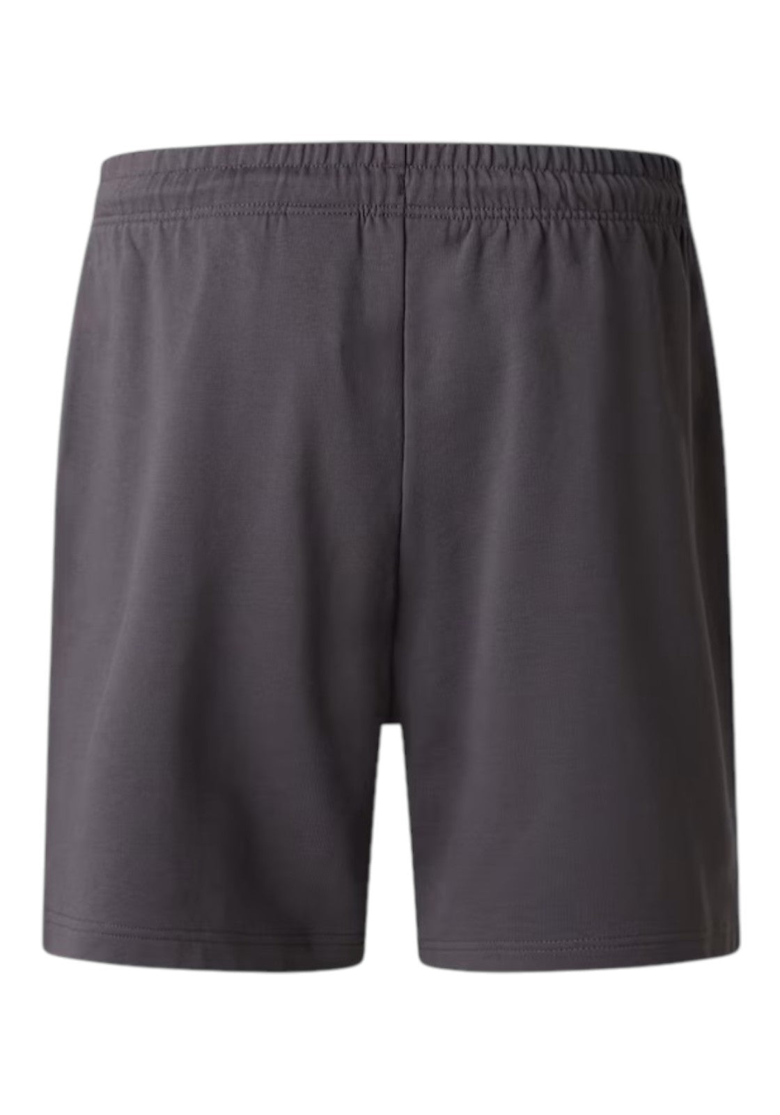 PANTALONCINI Grigio Scuro The North Face