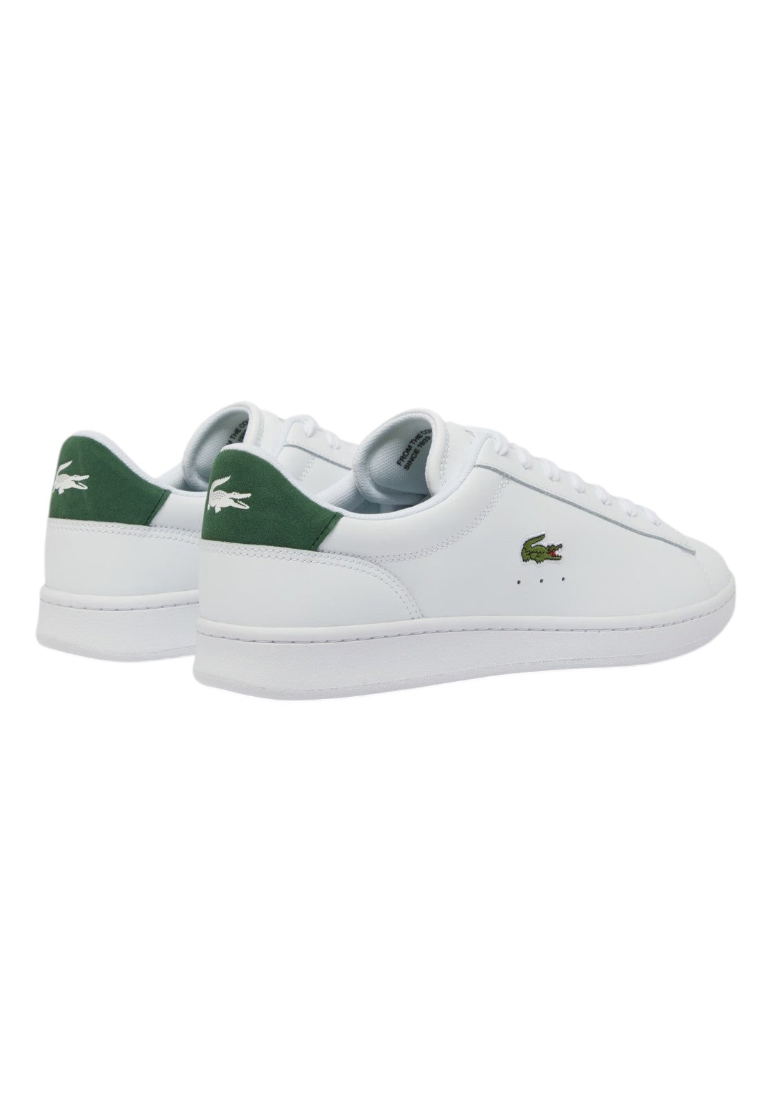 SCARPE Bianco/verde Lacoste