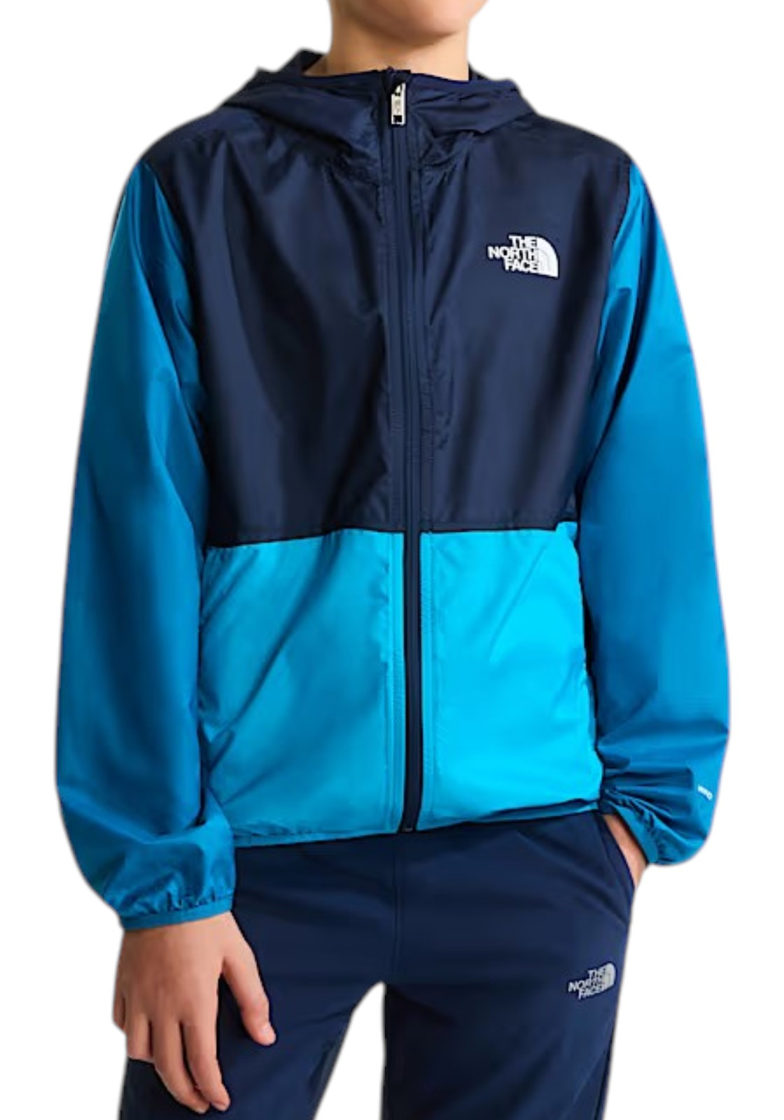 GIUBBINI E GIACCHE Azzurro/blu The North Face