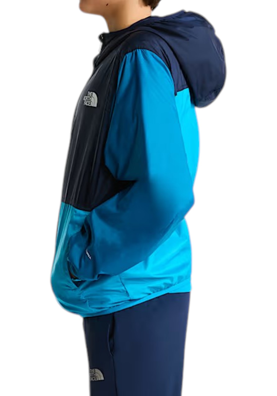 GIUBBINI E GIACCHE Azzurro/blu The North Face