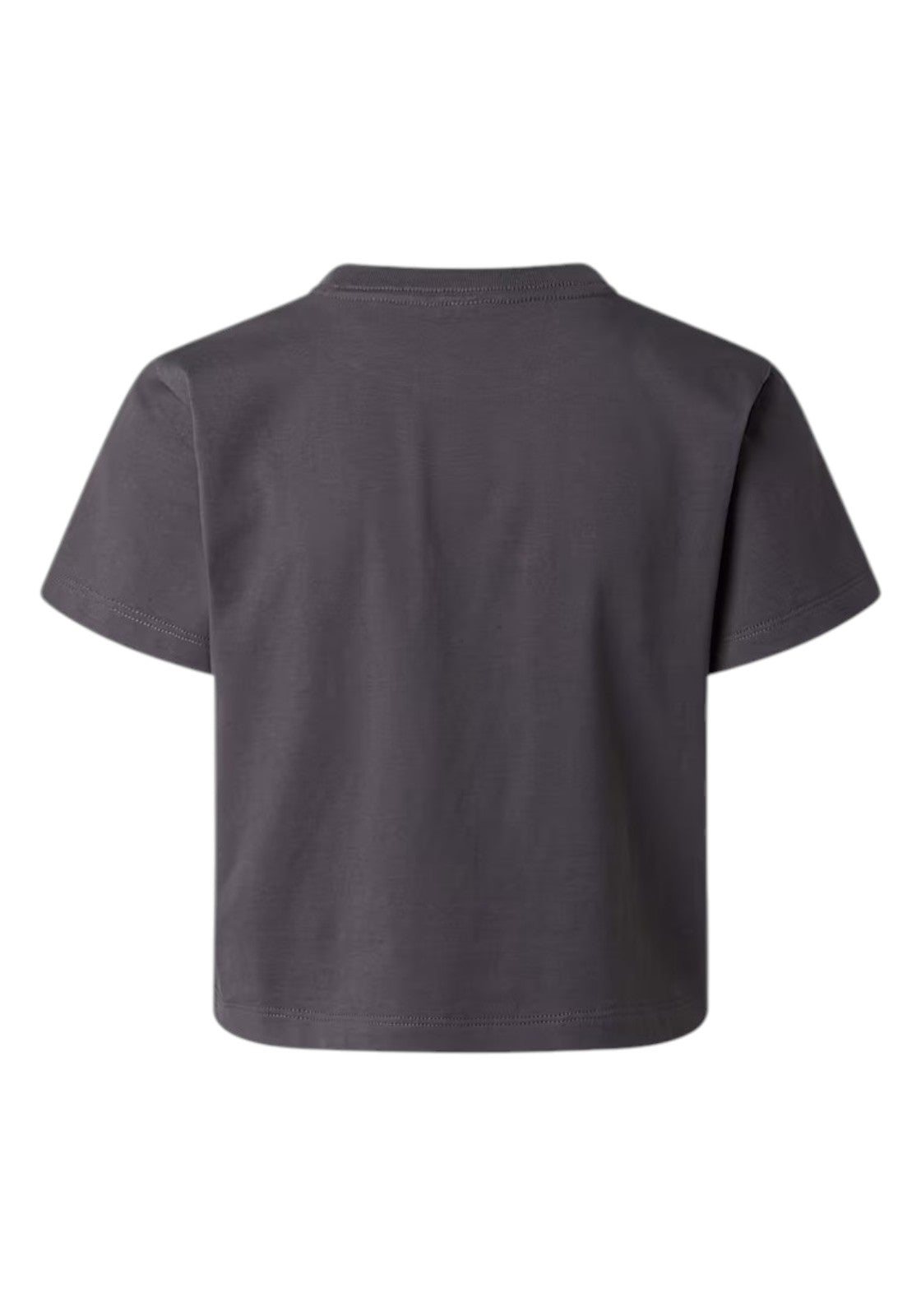 T-SHIRT E CANOTTE Grigio Scuro The North Face