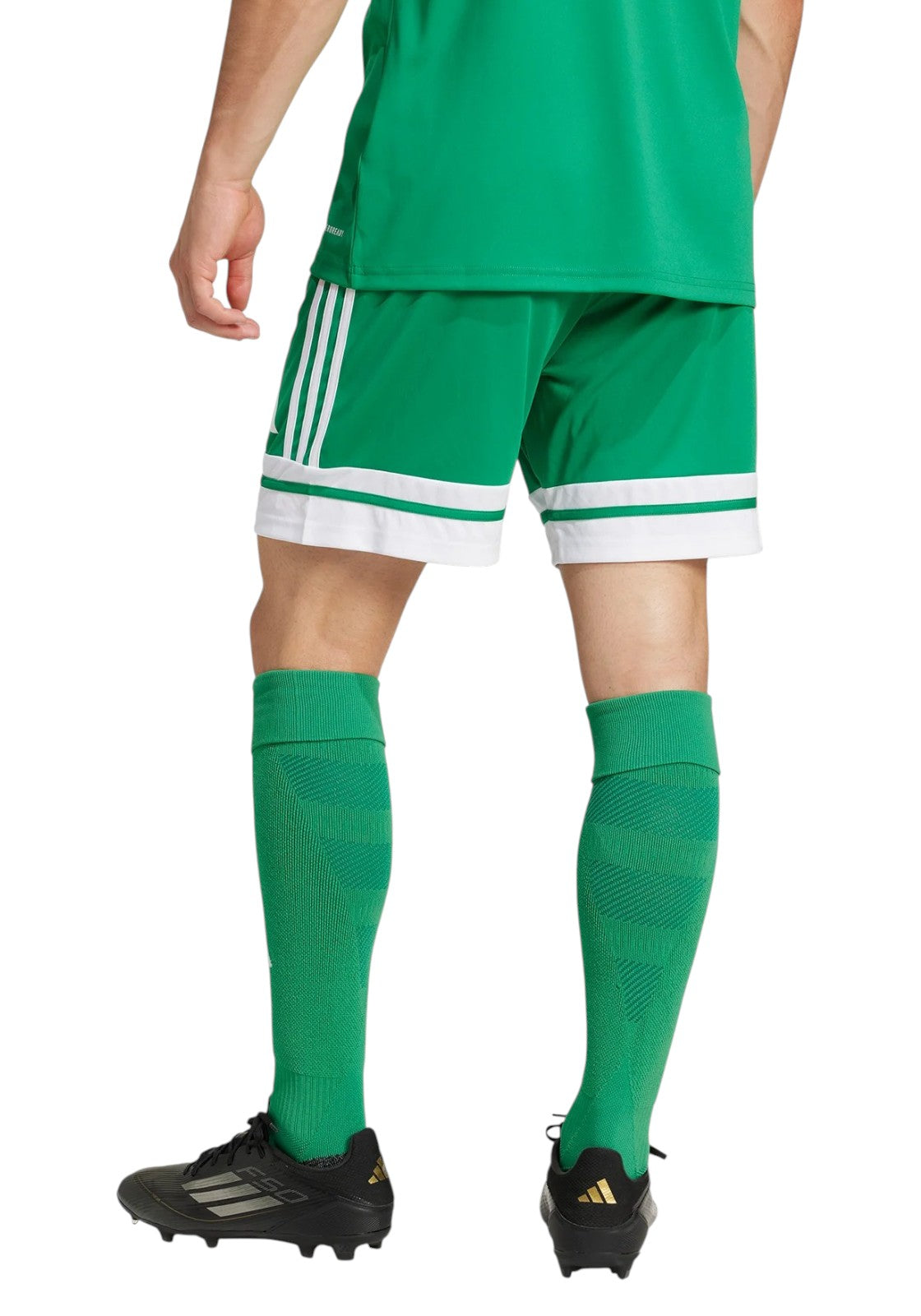 PANTALONCINI Verde/bianco Adidas