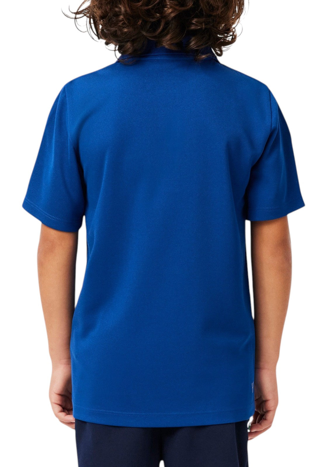 MAGLIONI E POLO Azzurro Lacoste