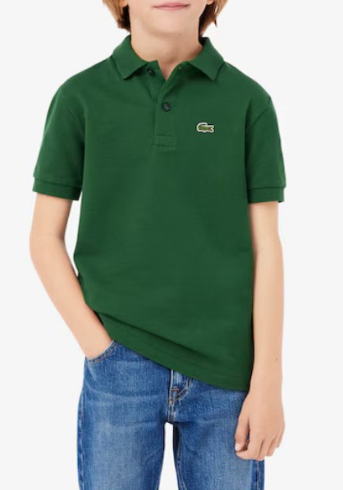 MAGLIONI E POLO Verde Lacoste