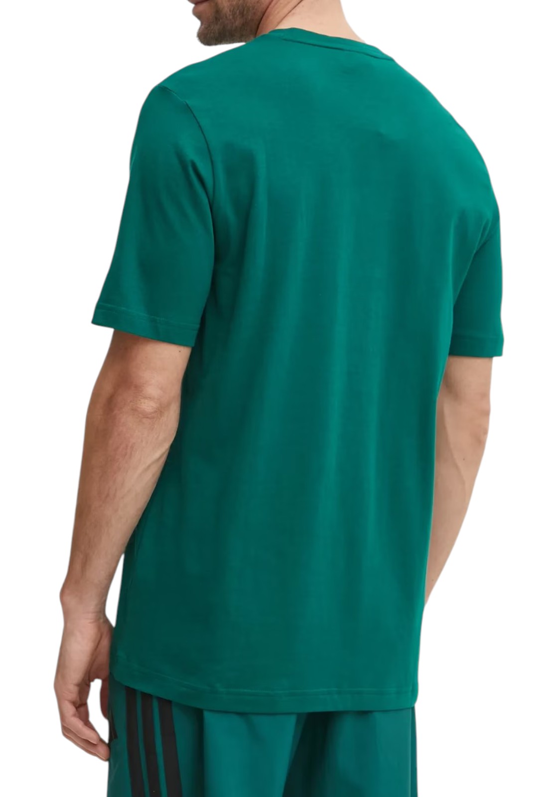 T-SHIRT E CANOTTE Verde Bottiglia Adidas