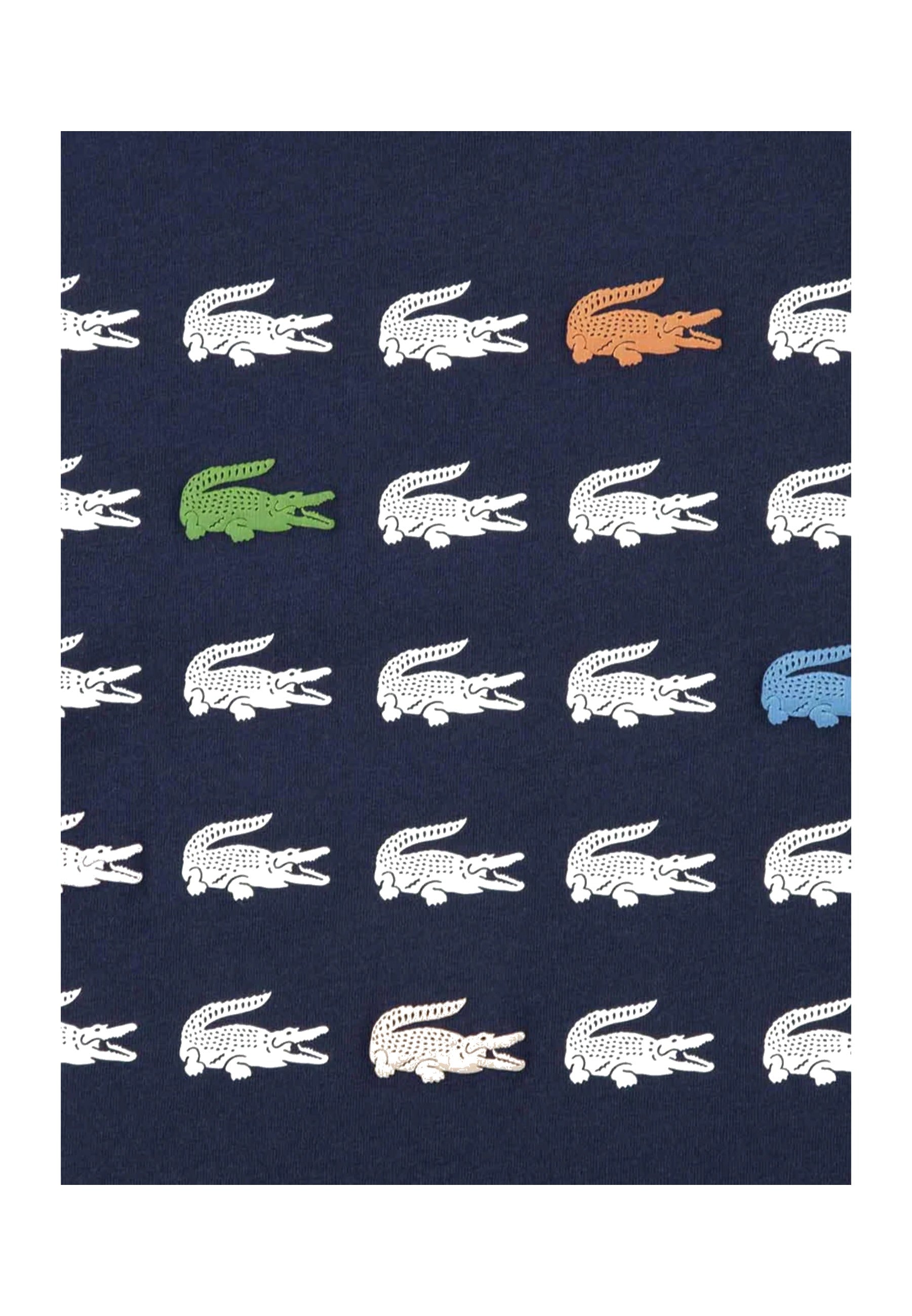 T-SHIRT E CANOTTE Blu/bianco Lacoste