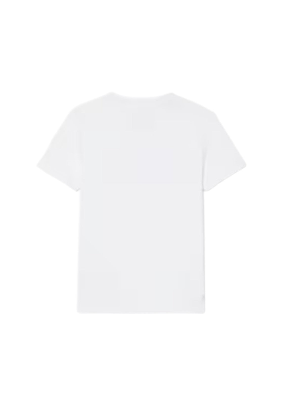 T-SHIRT E CANOTTE Bianco/verde Lacoste
