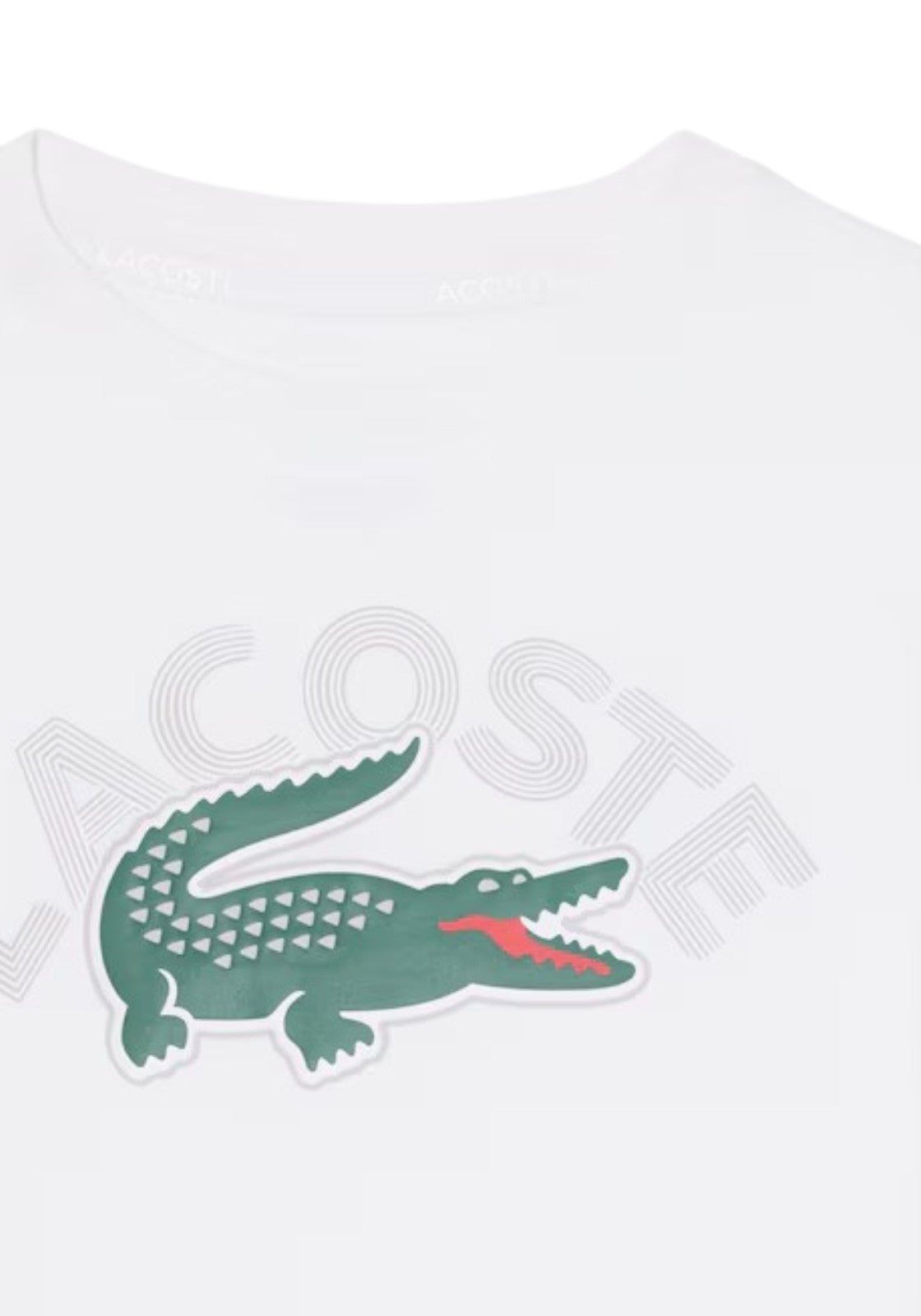 T-SHIRT E CANOTTE Bianco/verde Lacoste