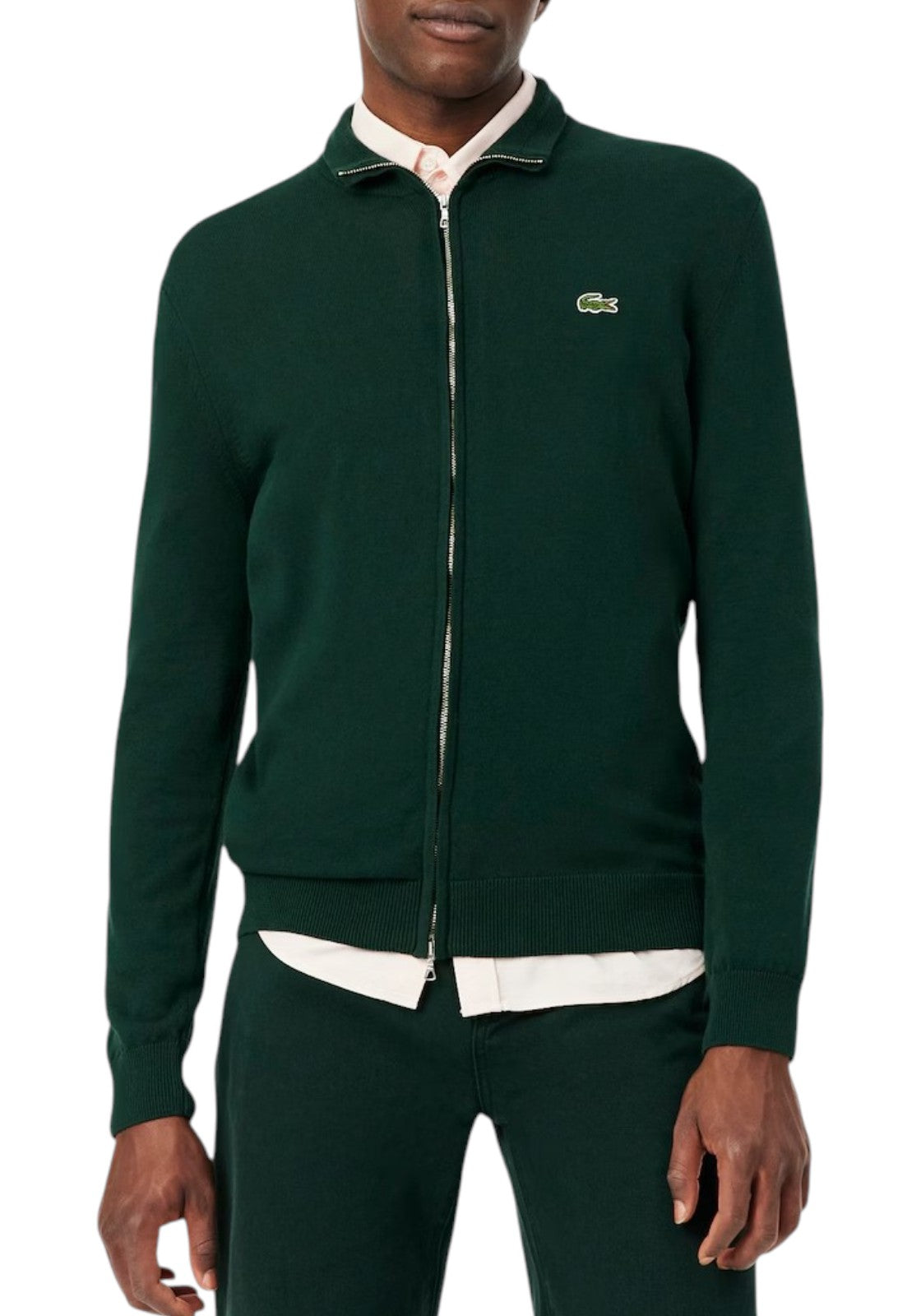 MAGLIONI E POLO Verde Bottiglia Lacoste