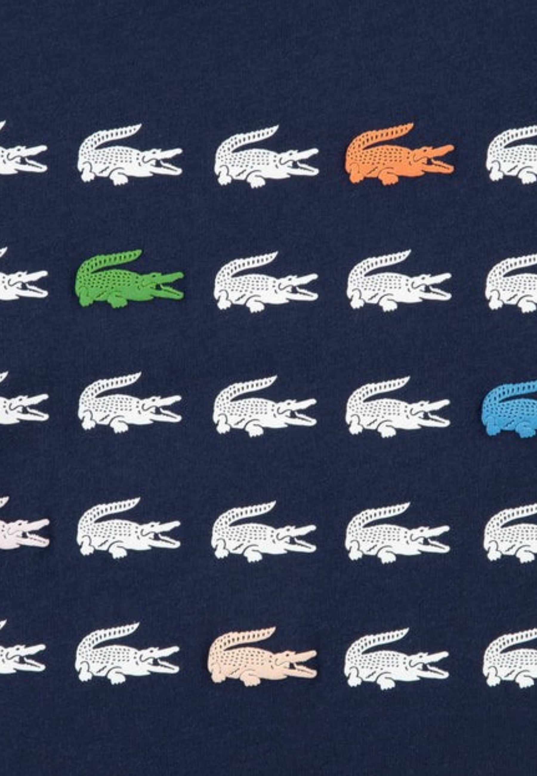 T-SHIRT E CANOTTE Blu/bianco Lacoste