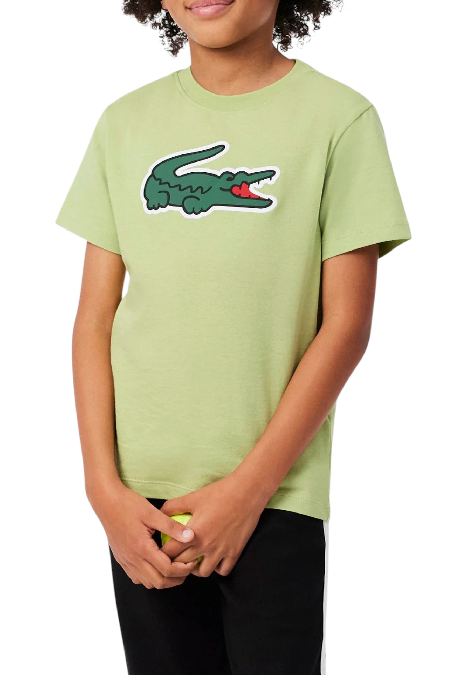 T-SHIRT E CANOTTE Verde Lacoste