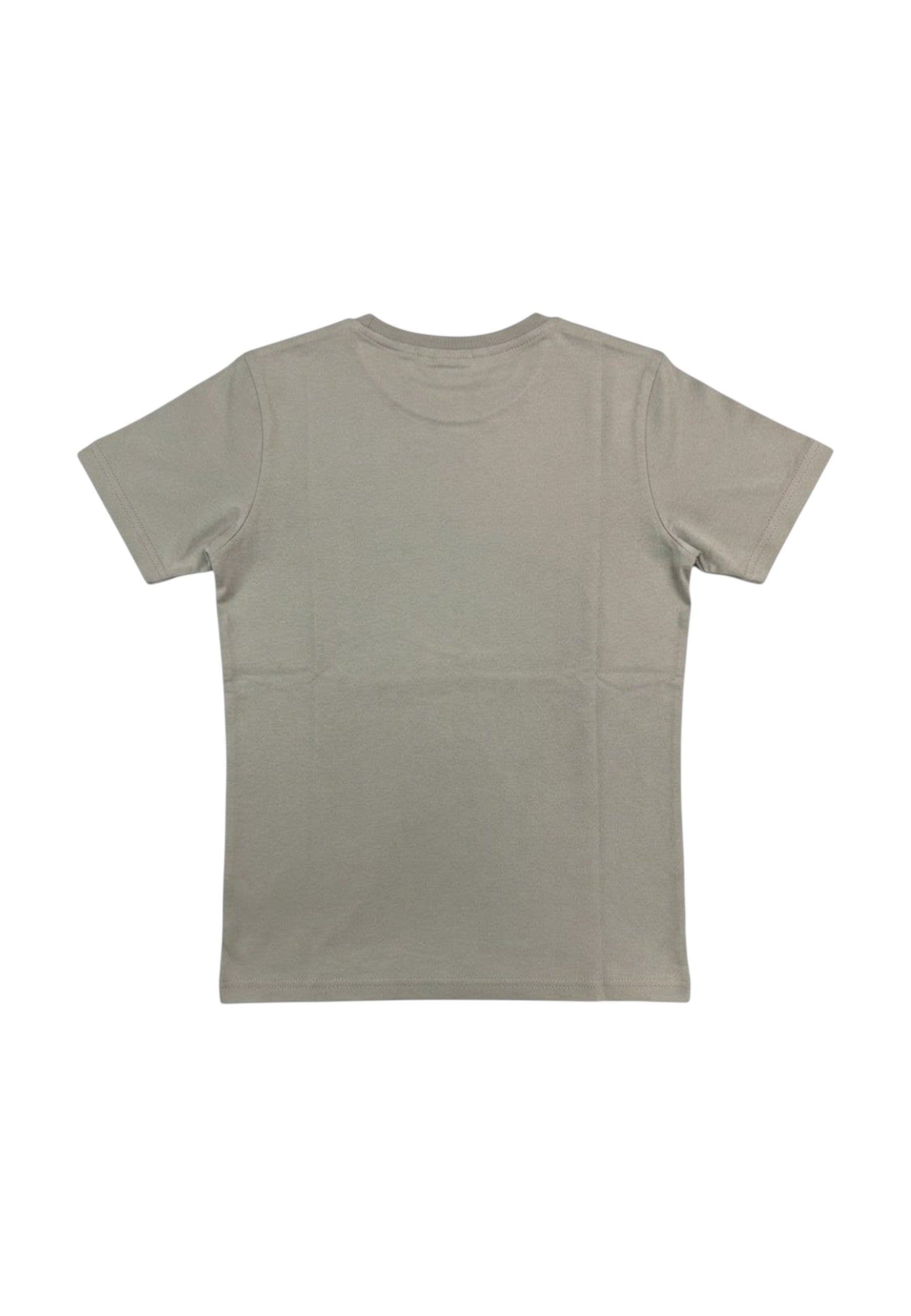 T-SHIRT E CANOTTE Tortora Champion