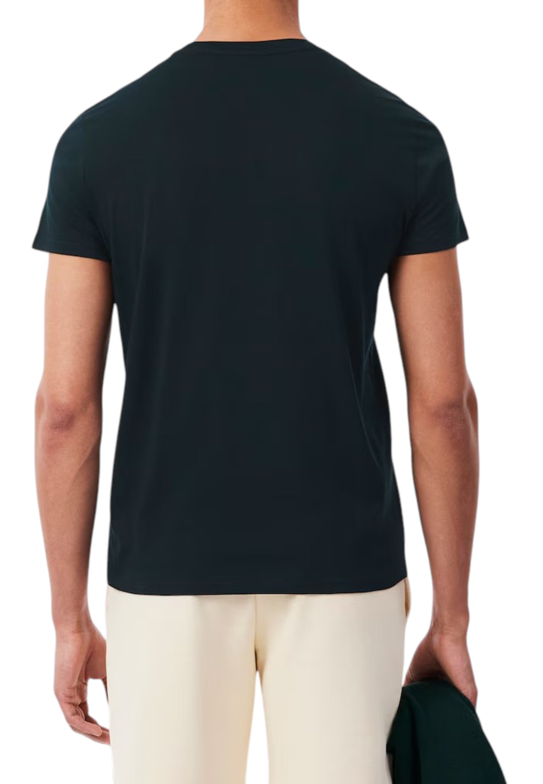 T-SHIRT E CANOTTE Liquirizia Lacoste