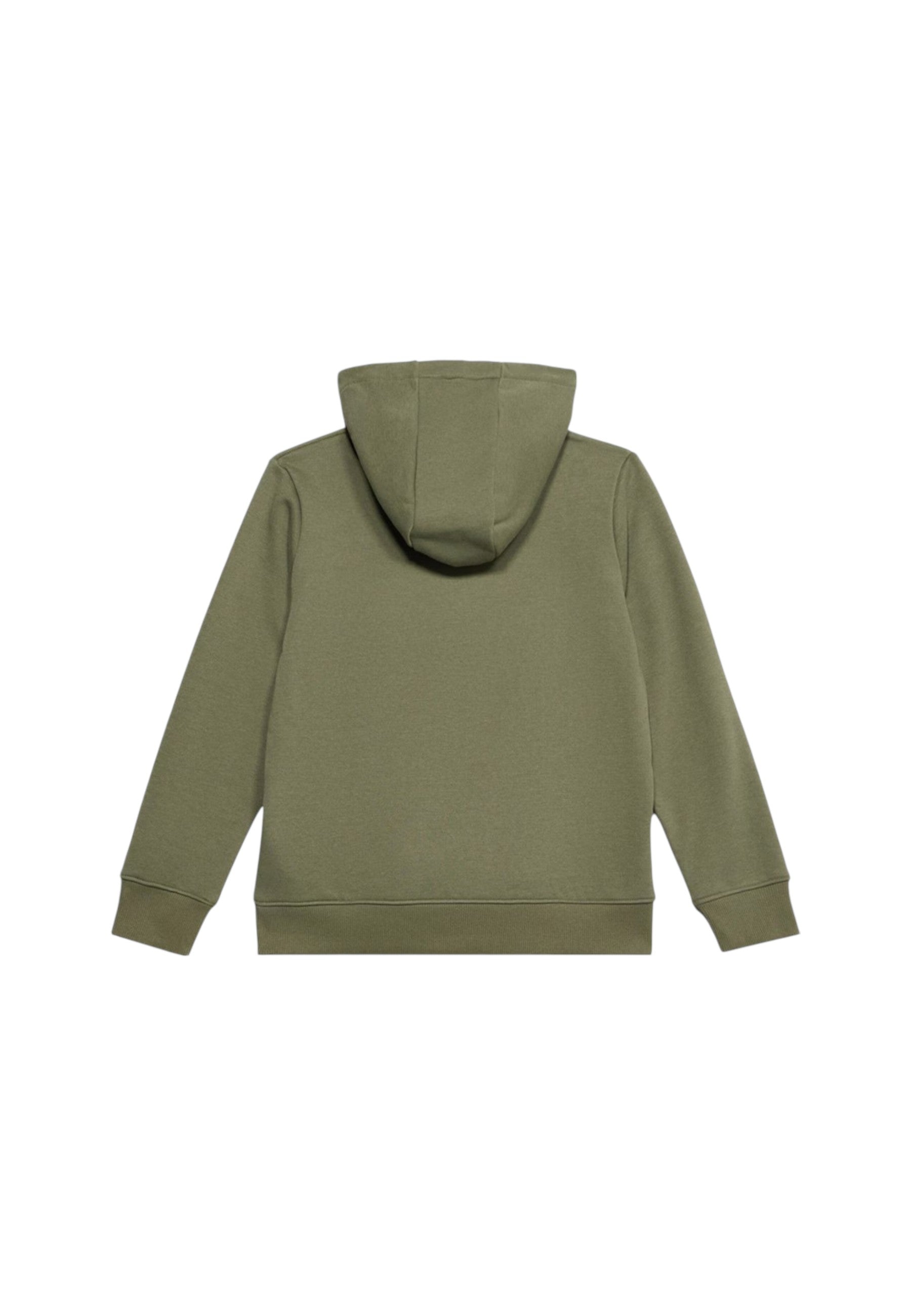 FELPE Verde Oliva Lacoste