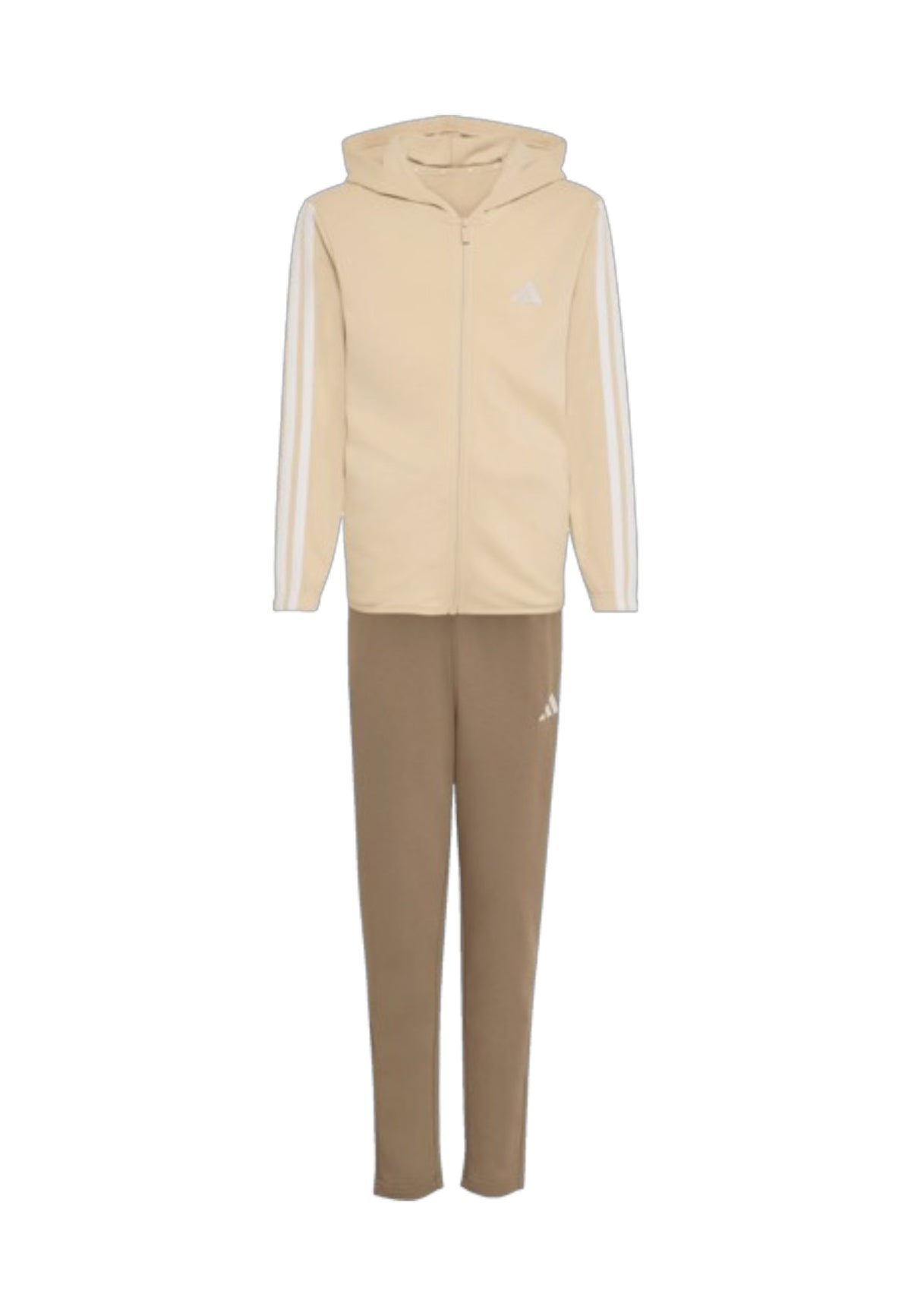 TUTE Beige/marrone Adidas