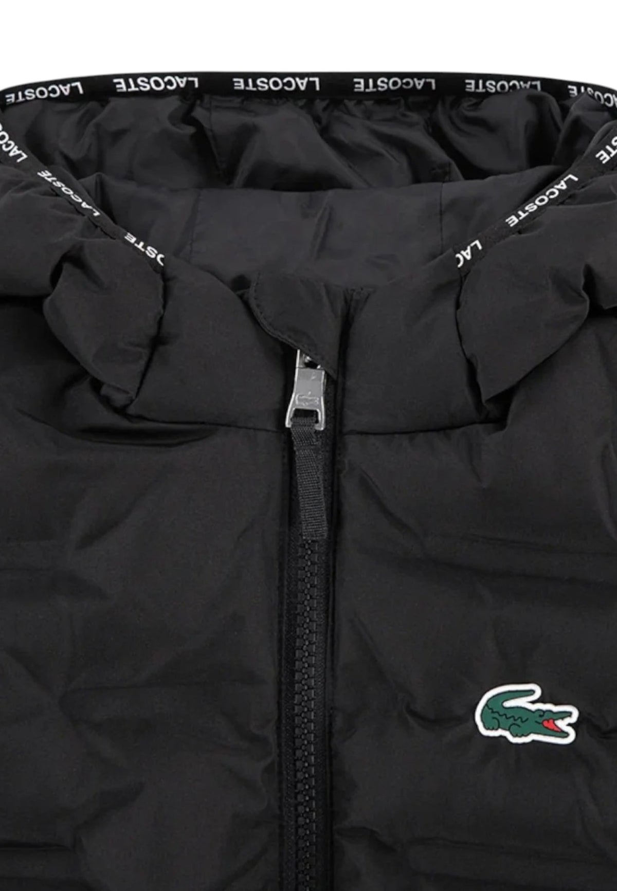 GIUBBINI E GIACCHE Nero Lacoste