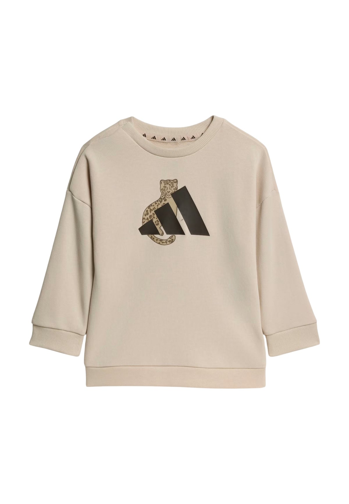 TUTE Beige/marrone Adidas