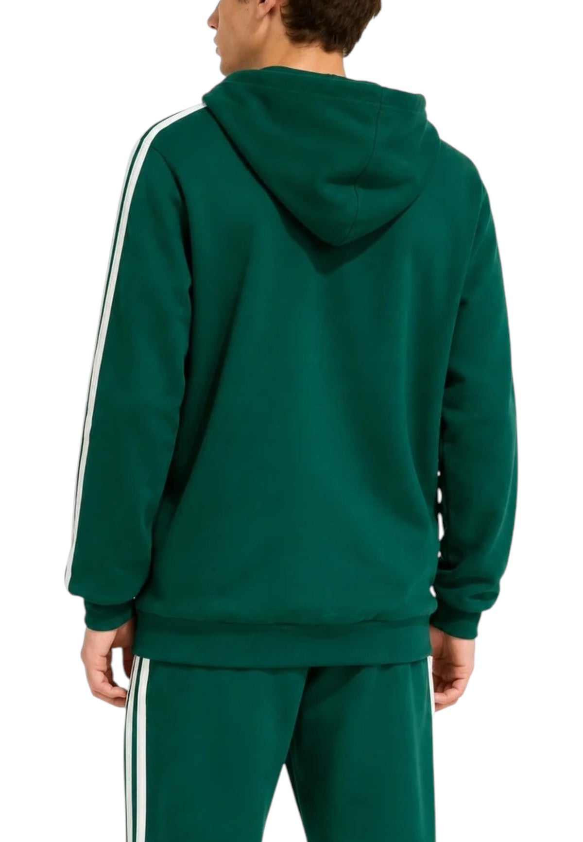 FELPE Verde/panna Adidas