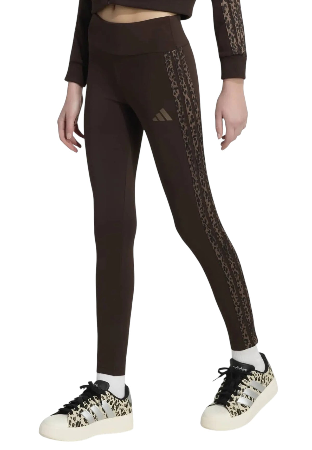 PANTALONI Marrone Adidas